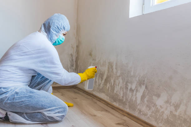 Licensed Mold Removal service in Gainesville, TX - WQB Mold Removal